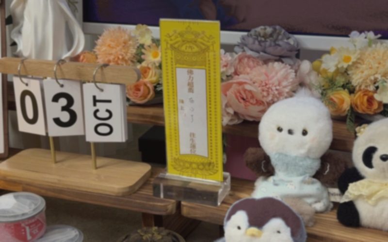 宠物火化到底是怎么进行的？带你看完整流程